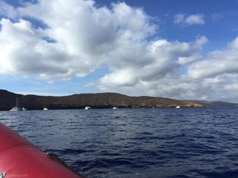 Molokini Snorkeling Tours: The Facts - Maui Sailing